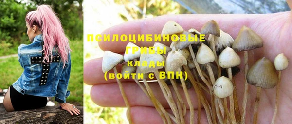 эйфоретик Абинск