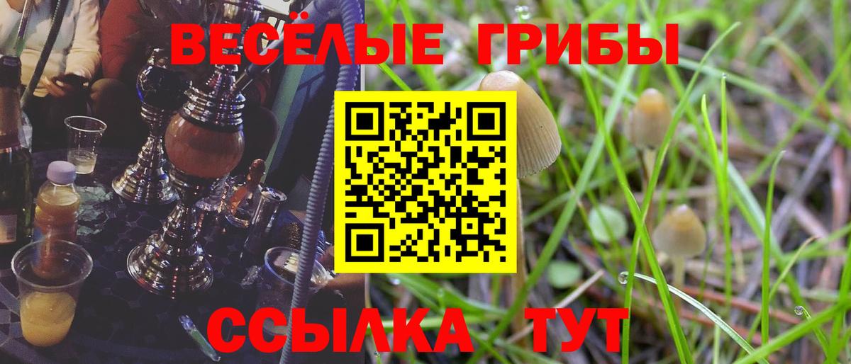 Псилоцибиновые грибы GOLDEN TEACHER  Вход с VPN  Ярославль 