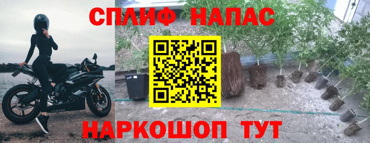 Марихуана план Ярославль